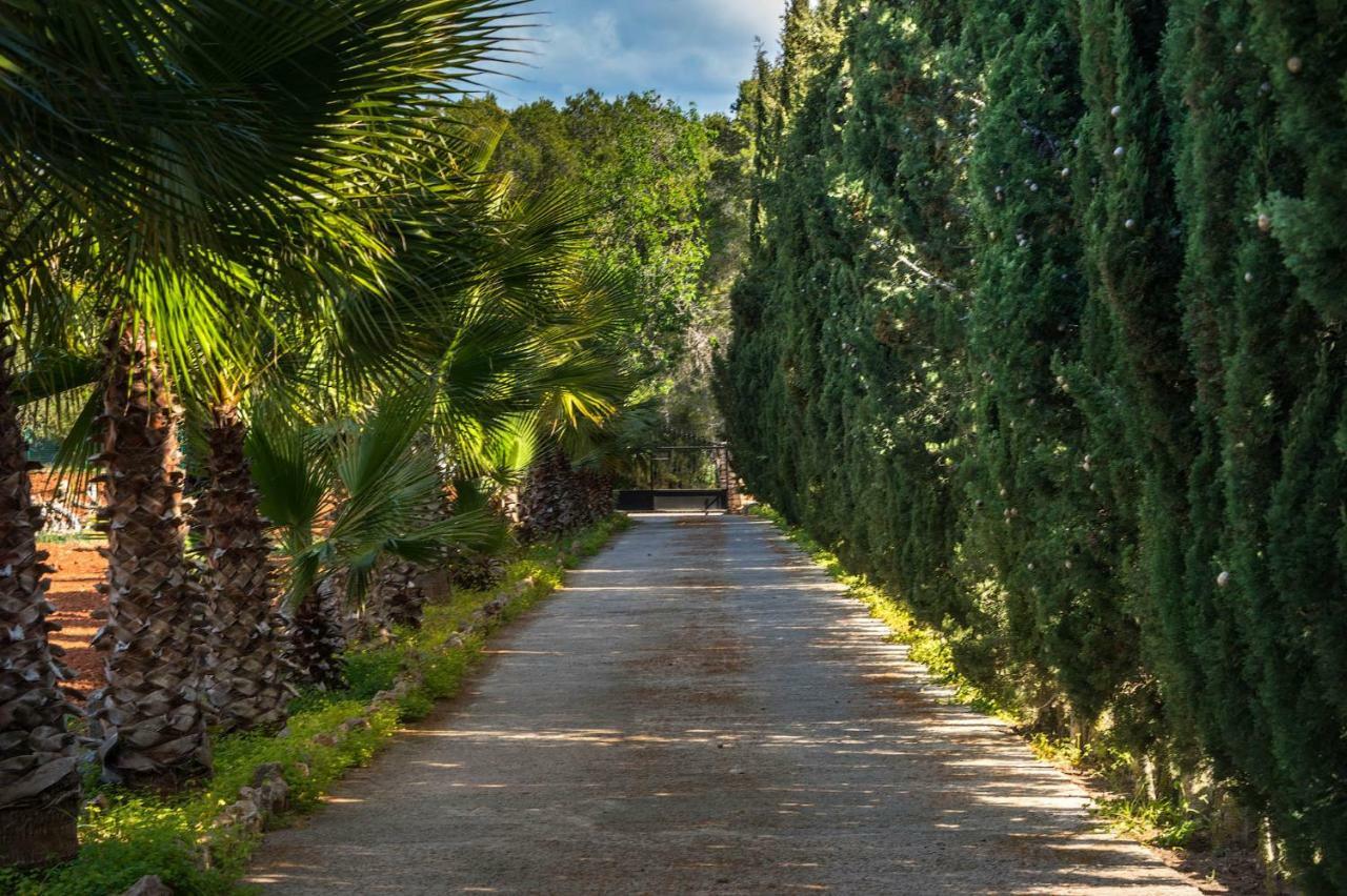 Villa Can Fita Puig D'en Valls Exterior photo