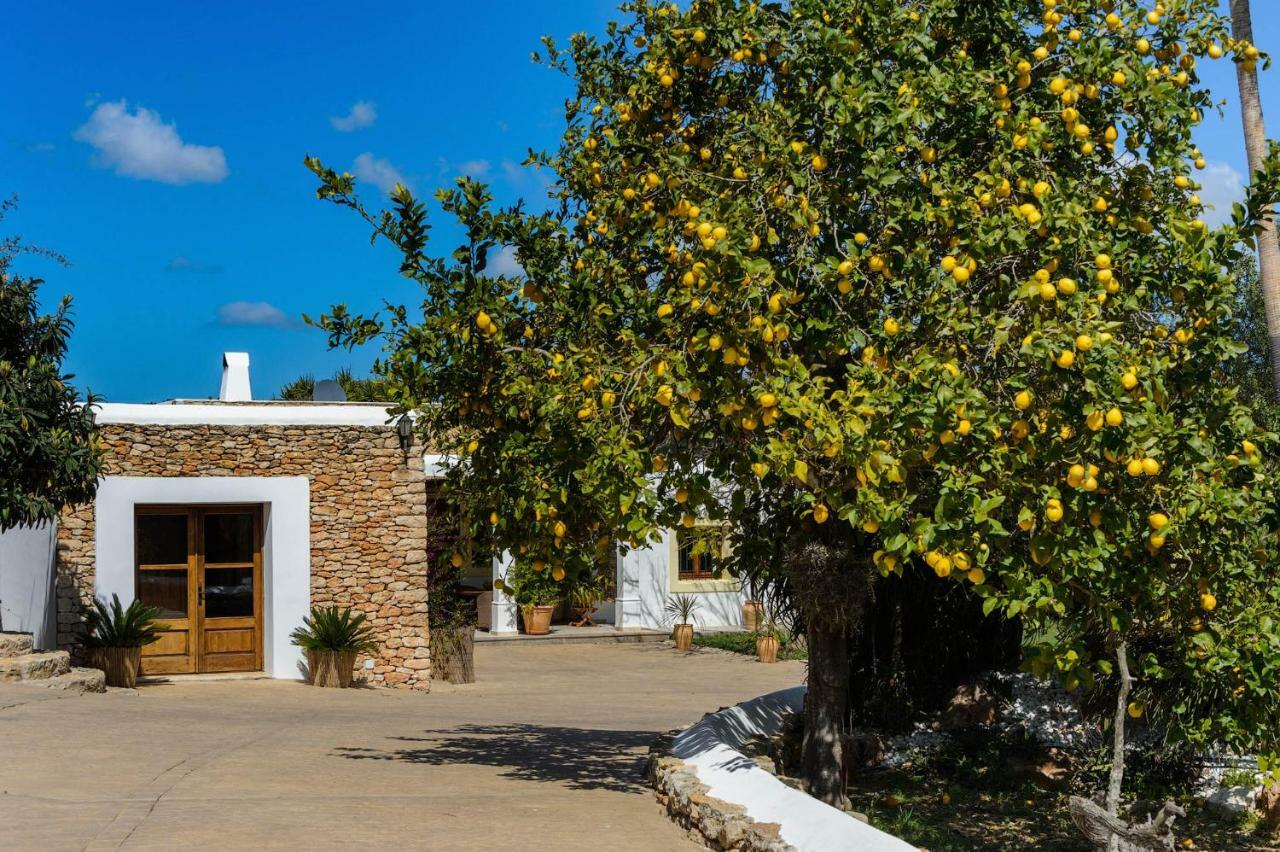 Villa Can Fita Puig D'en Valls Exterior photo